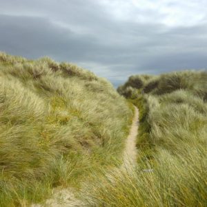 Weg durch die Dünen bei bedecktem Himmel